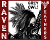 GREY OWL HAIR FEATHERS!