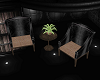 Chairs and Plant