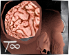 T∞ Inside Head Brain M