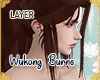 !A| Sun Wukong Burns