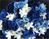 Blue & White Flowers