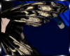 Folded Moth Wings