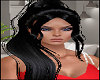 Long Black Ponytail