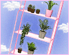 plants <3