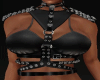 Armor HARNESS