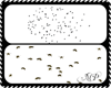 Swarm of Bees & Birds
