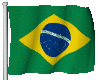 Brazil Natinal Flag