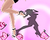 Shadow V