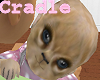 Feline Cub Cradle