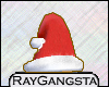 [RG] Santa's Hat Brown