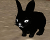 Black Rabbit Animation