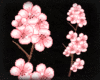 [SS] Cherry Blossom Tree