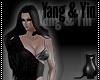 [CS] Yang  & Yin