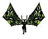Black and green wings
