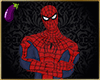 🕸 Spiderman Outfit