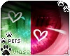 [Pets] Tila | eyes 2-T