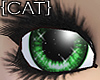 {CAT}Fragile-Green Eyes