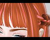 ヨネ. Malluxa