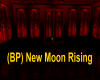 (BP) New Moon Rising