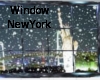 WindowNewYorkSnow