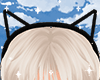 Ear Cat Black