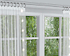 Window w Curtain