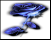 Perfect Rose(blue)