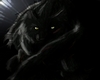 ~the darkest wolf~