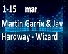 Martin Garix&Jay Hardway