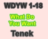 Tenek - What Do You Want