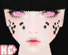 Ko ll Stars Black + Nose