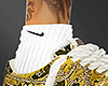 Gold Air Force