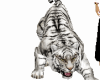 White Tiger Guard