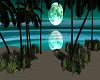 (C) COCOA ISLANDS