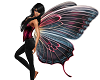 Big Butterfly Wings 36