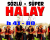 HALAY SUPER SOZLU41-80