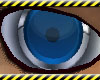 DualTech Blue Eyes