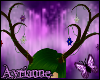 [A] Faerie Lily Antlers