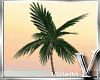 Beach Wedding Palm 2