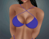 Summer Blue Bikini