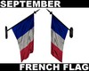 (S) French Flag France