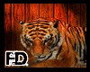 [FD] Tiger Pet