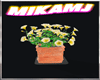 summer flowers4