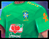 CAMISA BRASIL