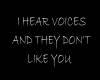 Voices Don't Like You