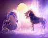Spirit of Africa