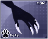 [Pets] Teia | claws
