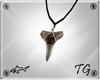 SW Sharks Tooth Necklace