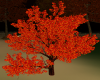 Fall Tree