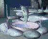 North Fountain